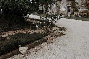 Cécile et Nicolas mariage au chateau de la garnison près de nantes