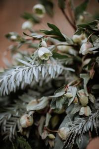 arche mariage forêt acacia myrte fougères