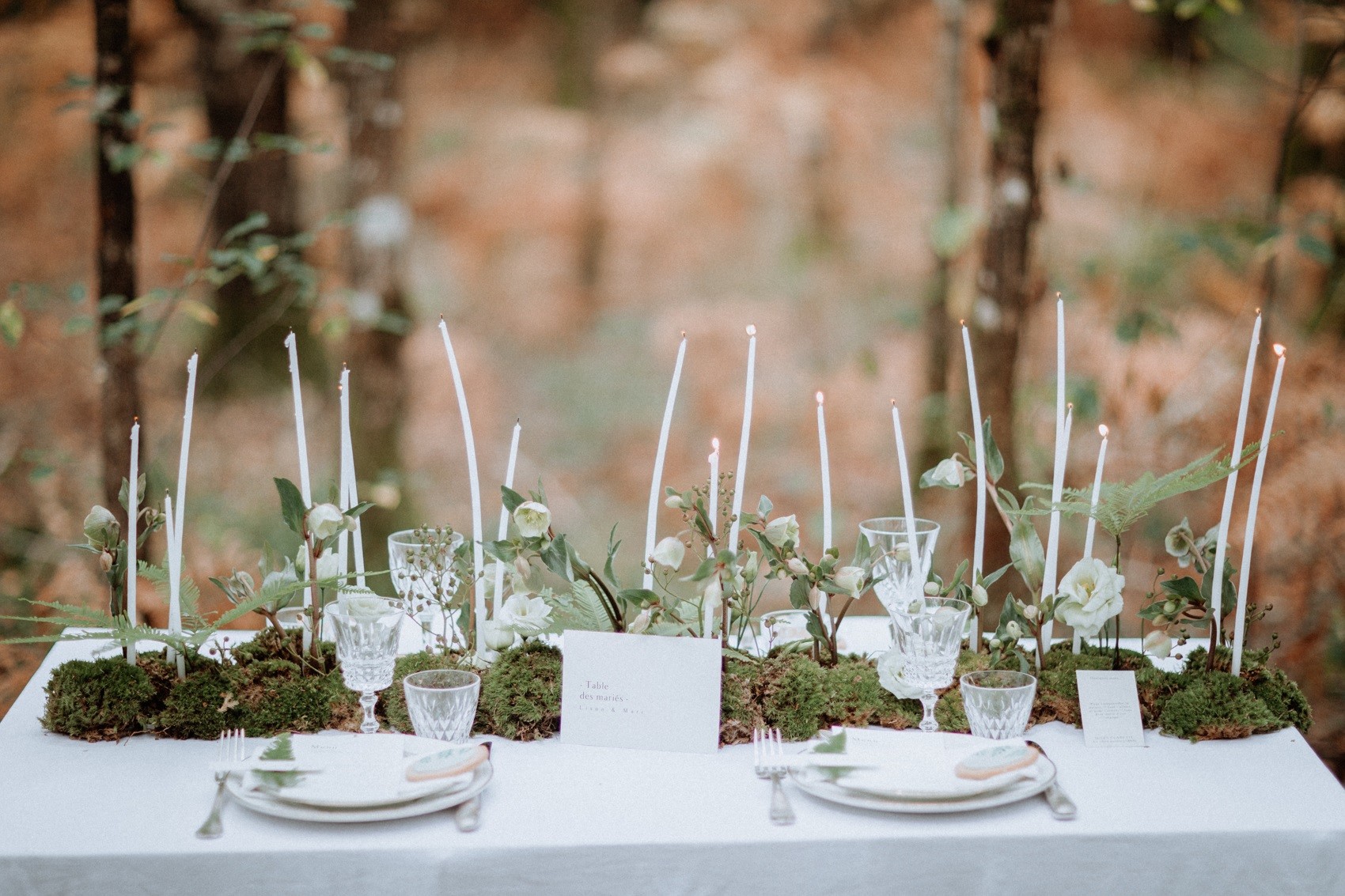 decoration et art de la table mariage thème végétal 