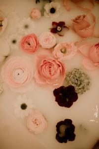 detail des fleurs
